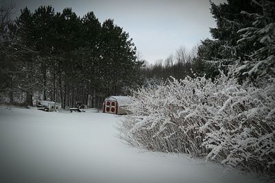 Bare trees on snow covered landscape