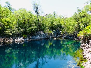 Scenic view of lake by trees in forest against sky