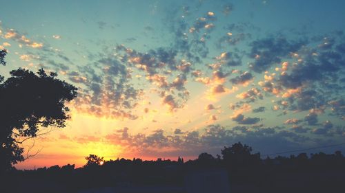 Low angle view of silhouette trees against sky at sunset