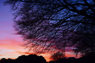 Low angle view of silhouette trees against romantic sky