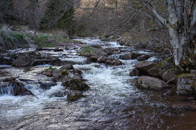 River flowing through rocks in forest