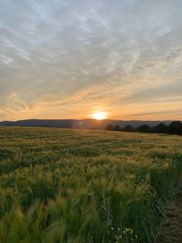 Scenic view of field against sky during sunset