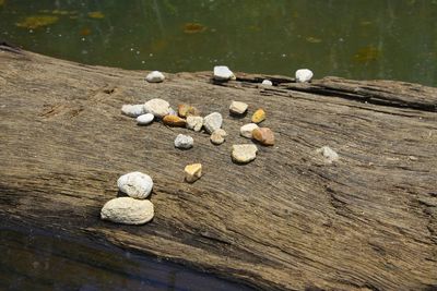 High angle view of shells on beach