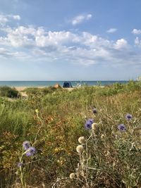 Scenic view of sea against sky