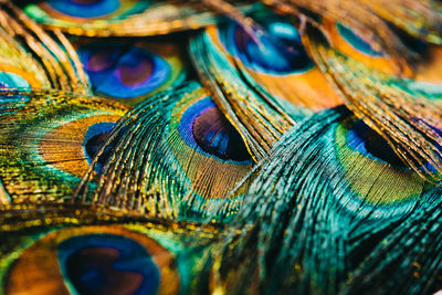Full frame shot of multi colored feathers