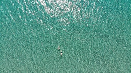 High angle view of swimming in sea