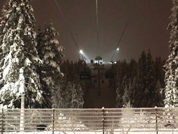 Illuminated trees on snow covered land against sky at night