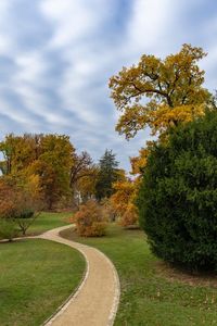 Footpath amidst trees against sky during autumn