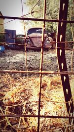 Close-up of chainlink fence