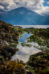 Scenic view of lake and mountains against sky