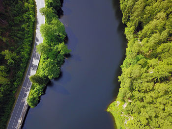 Scenic view of river in forest against sky