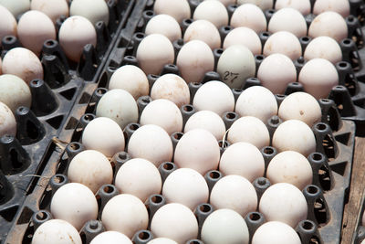 High angle view of eggs in crate