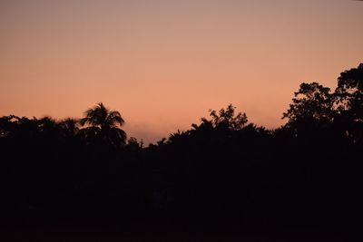 Silhouette trees against clear sky at sunset