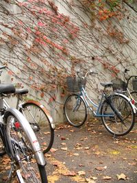 Bicycle parked in parking lot