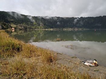 Scenic view of lake against sky