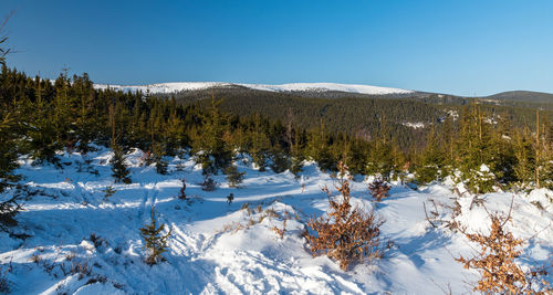 Scenic view of snowcapped mountains against clear sky