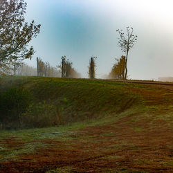 Scenic view of field against sky
