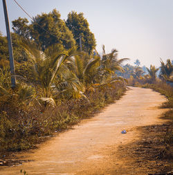 Road amidst trees on field against clear sky