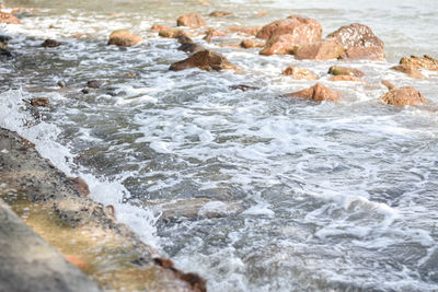 Rocks in sea