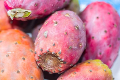 Close-up of fruits on cactus at market