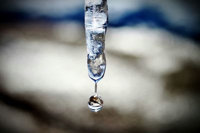 Close-up of icicle melting during winter