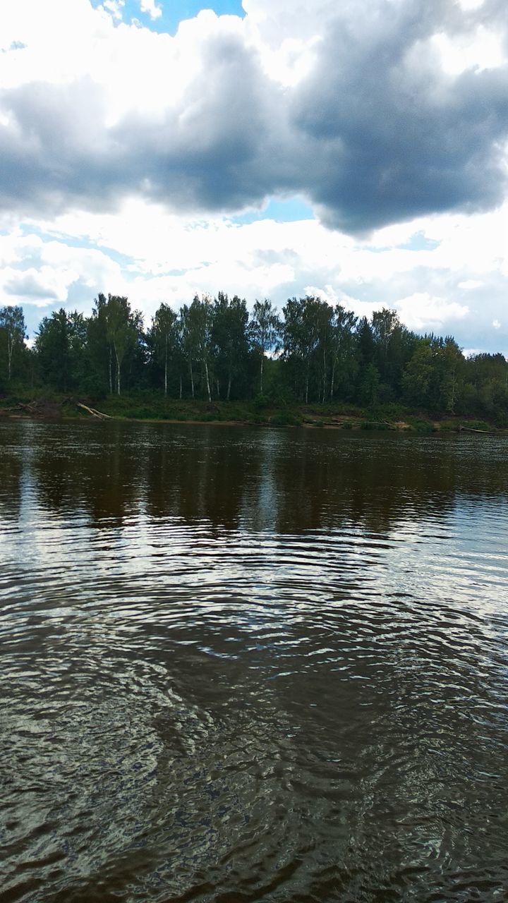 water, cloud, tree, sky, reflection, river, plant, nature, beauty in nature, scenics - nature, forest, environment, body of water, tranquility, no people, shore, land, landscape, day, tranquil scene, outdoors, non-urban scene, reservoir, rippled, travel destinations, travel, wetland, tourism, pinaceae, coniferous tree, trip, vacation