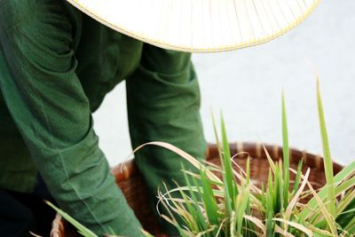 Farmer keeping crops in basket