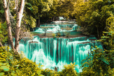 Scenic view of waterfall in forest