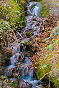 High angle view of waterfall in forest