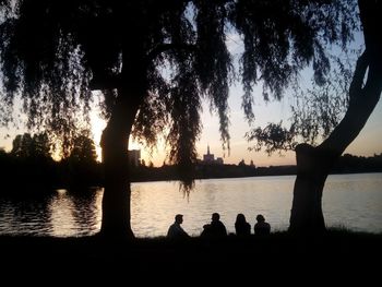 Silhouette of trees at sunset