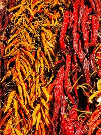 Full frame shot of red chili