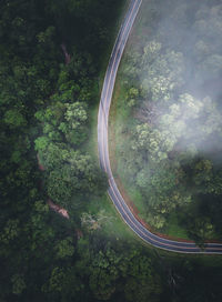 High angle view of road amidst trees in forest