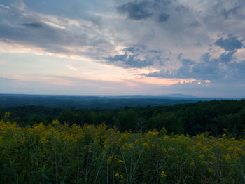 Scenic view of field against sky during sunset