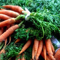 Close-up of vegetables