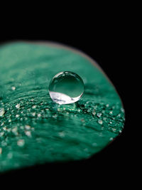 Close-up of water drop on glass against black background