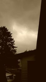 Silhouette trees and houses against sky