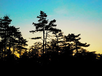 Low angle view of silhouette trees against sky at sunset