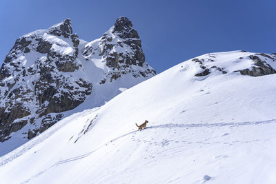 Scenic view of snowcapped mountains against clear sky