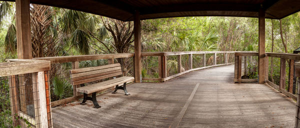 Empty bench in park