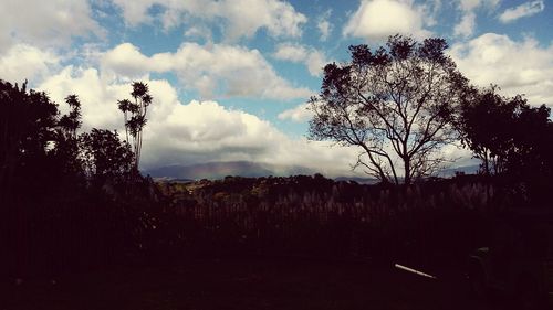 Silhouette trees on landscape against sky