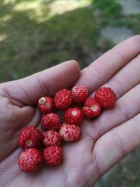 Close-up of hand holding strawberries