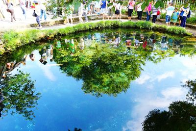 Reflection of trees in pond