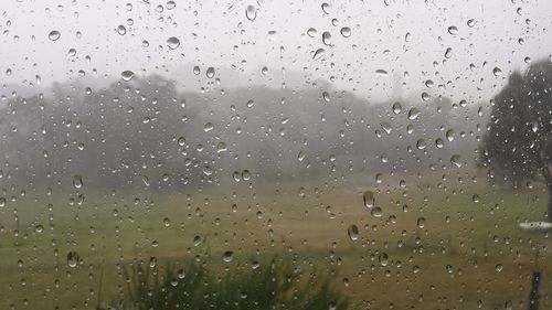 Close-up of water drops on glass