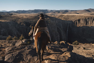 Rear view of horse on rock