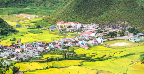 High angle view of houses and trees on field