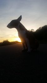 Silhouette dog against sky during sunset