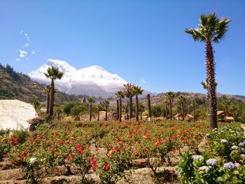 Scenic view of mountains against cloudy sky