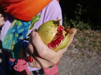 Close-up of hand holding fruit