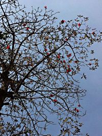 Low angle view of tree against sky