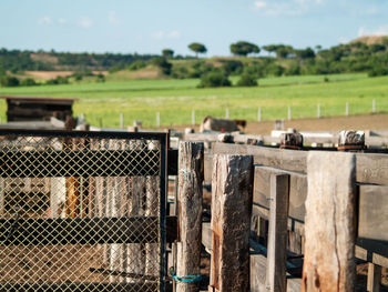 Fence on field against sky